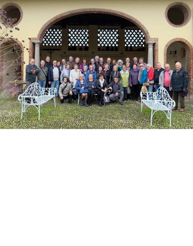 lodi compressa paint